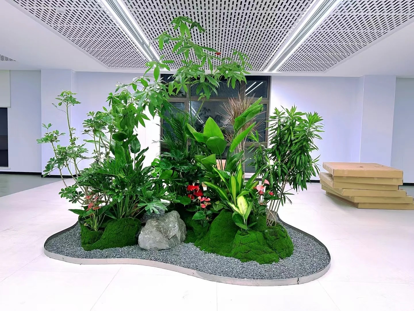 余姚盆景出租,打造独特空间美学